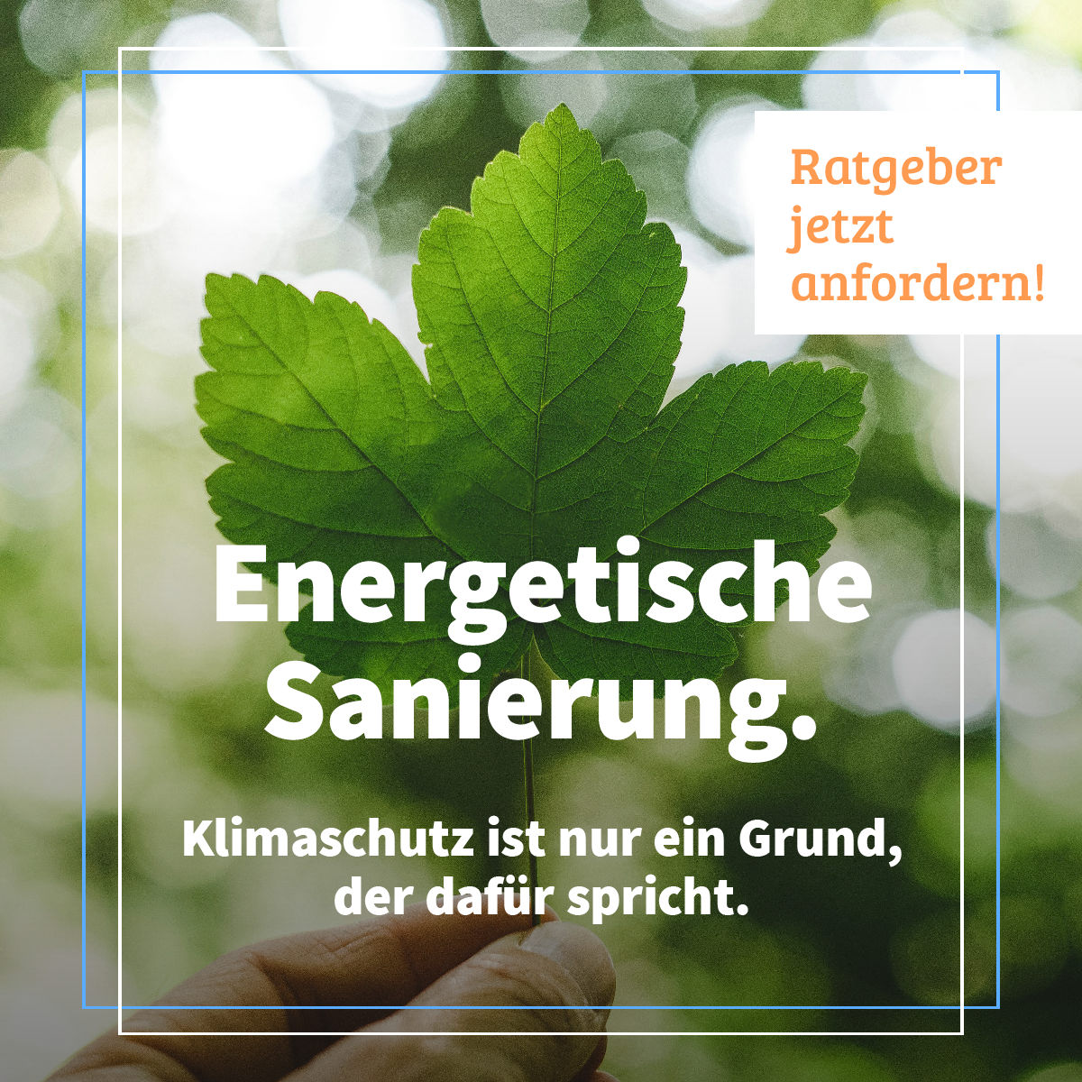 Erbschaft und Schenkung